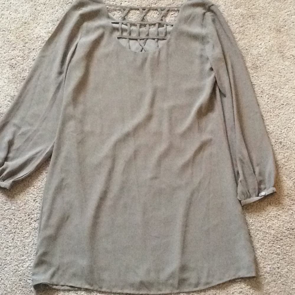 Naked Zebra Taupe Shift Dress - Picture 3 of 6